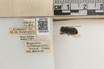 Media type: image;   Entomology 791814 Aspect: Labels